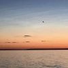 dsc04411b 1